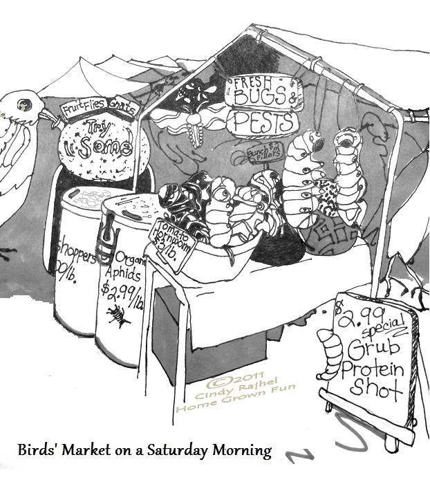 Birds Market on a Saturday Morning