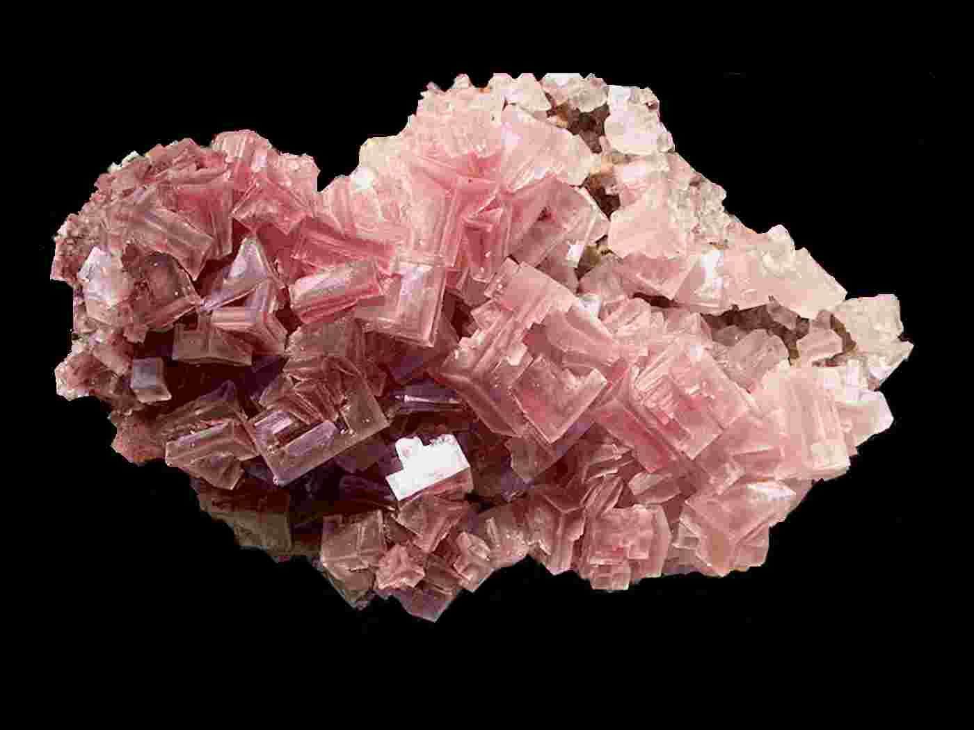 Halite2101B