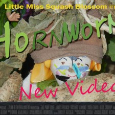 Tomato Hornworm Video