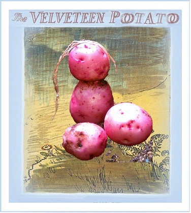 Velveteen Potato
