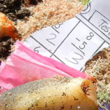 compost homework featured