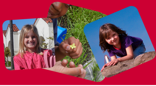composting fair