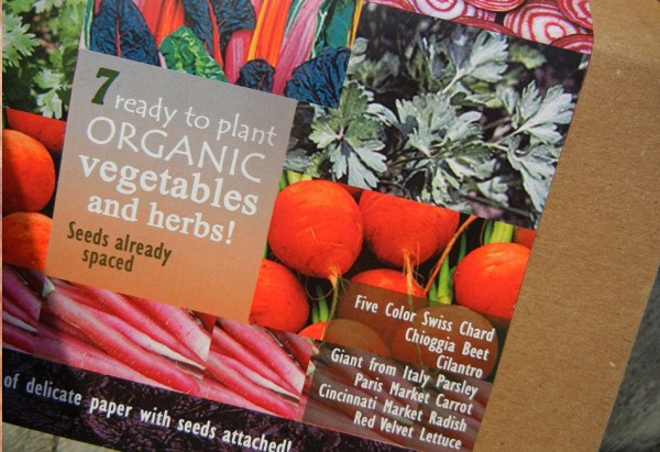garden in box vegetable seed paper kit Home Grown Fun