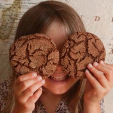 ginger cookies featured