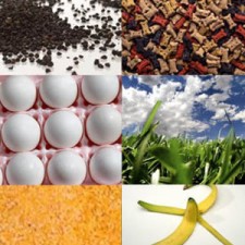 homemade fertilizers featured
