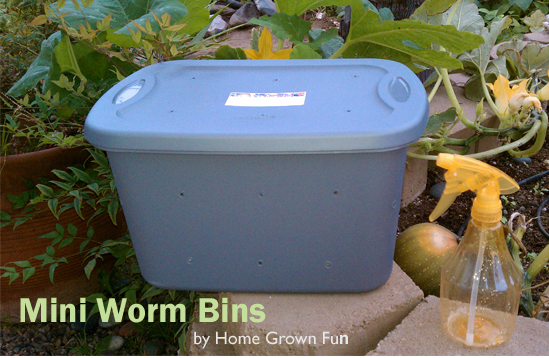 mini worm bin home grown fun
