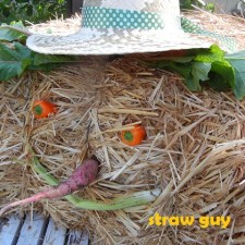 Uses for straw and using straw for mulch in the garden