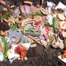 what can you compost materials