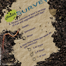 How Worms Make Compost