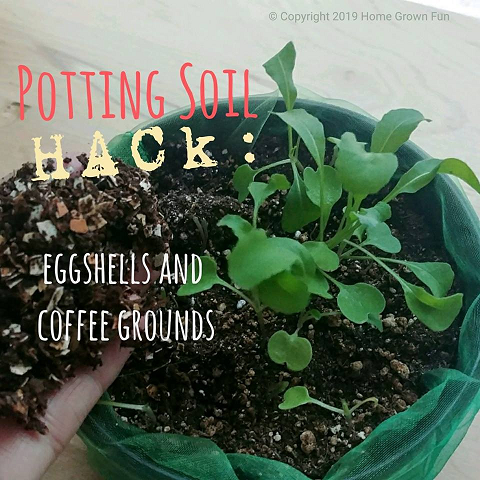 How To Make Potting Soil With Eggshells And Coffee Grounds Home