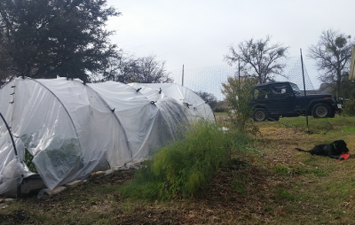 Fast Greenhouse Cheap
